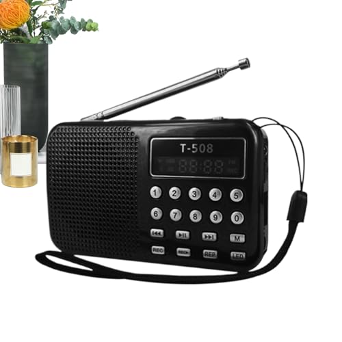 Radio FM AM avec haut-parleur et lecteur MP3 USB