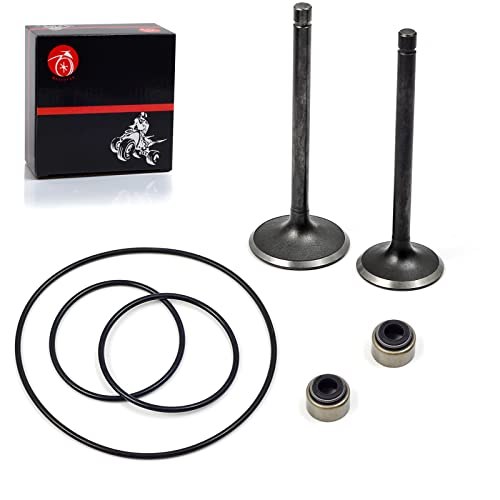 MOTO1988 Intake Valve Exhaust Valve Compatible For…
