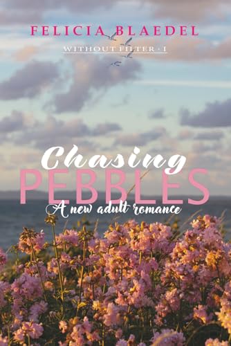 Chasing Pebbles: A friends to lovers romance (Without Filter)