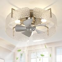CalorHoga 20" Low Profile Caged Ceiling Fan with Light and Remote