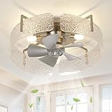 CalorHoga 20 Inch Modern Silver Ceiling Fan with Light, Flush Mount Low Profile Fandelier, Remote Control, Quiet Reversible DC Motor, Small Ceiling Fans for Bedroom Living Room Office