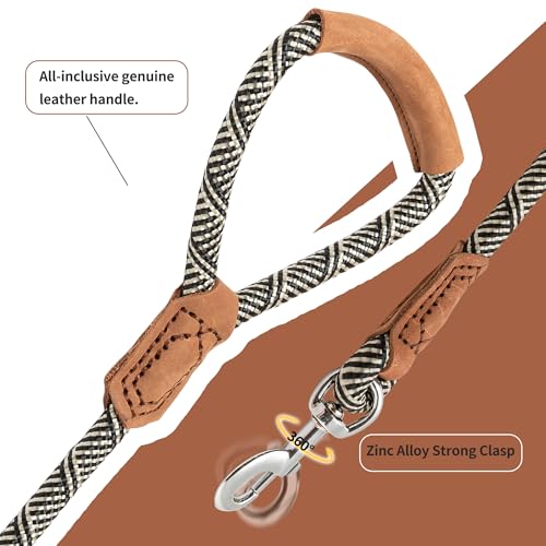 Laisse pour chien solide avec fermeture robuste contre les tractions brusques - 4