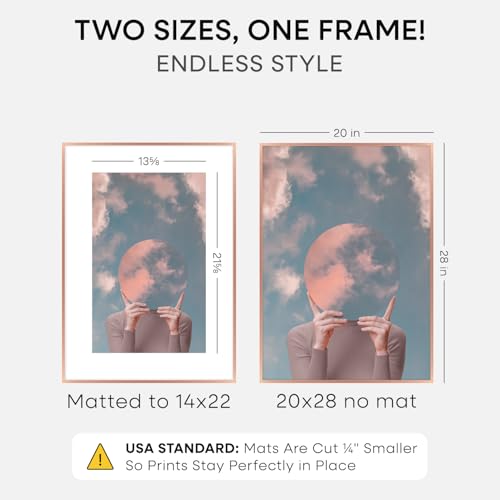 Image of Homeforia 20x28 Frame Rose Gold, High End Metal 20x28 Poster Frames with Mat 14x22 inch Photo, 20 x 28 Rose Gold Picture Frame Matted to 14 by 22 Print, 28x20 Frame, Tempered Glass, Wall Kit, Set of 1