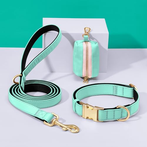 Collier rembourré doux pour chien Didog vert M imperméable pour balade