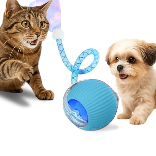 JUBBPDX Interactive Cat Toys for Indoor Cats