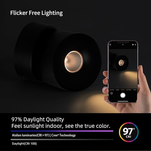 Image of Aisilan 15W LED Dimmable Ceiling Spotlight, Adjustable Directional Surface Flush Mount Lighting, Wall Spot Lights Indoor Accent Fixture for Art Picture Gallery Paintings, 3000K, Black
