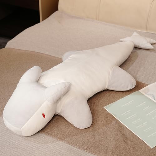   O NbV ܂ 傫   Aj} ʂ  25cm ӂӂ Q O[   q ޏގ Mtg