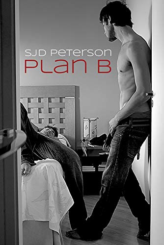 Plan B view 2