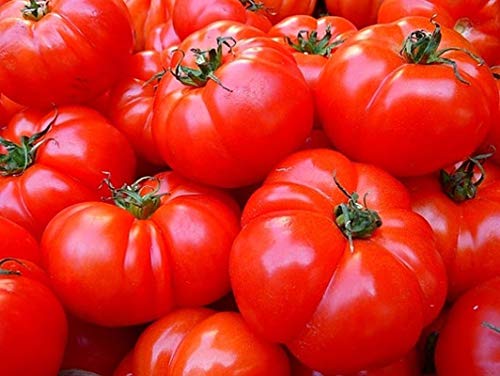 Hamson Tomato - Sets Fruit at Extreme temperatures - Excellent Flavor (50 - Seeds)