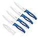 Ceramic Knife 5Inch Fruit Knife Set 4-Piece with Knife Sheaths for Cheese, tomatoes, potatoes, vegetables, fruits, fleshless (blue)