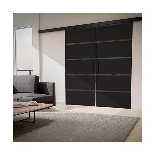 inova Doppel Glas-Schiebetür 2-Flügelig 1800 x 2035 mm Grauglas Blockstreifen schwarz Alu Komplettset mit Lauf-Schiene und Stabgriff
