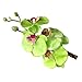 Polytree 4pcs Fashion Women's Grace Flower Hawaii Hair Clip Set
