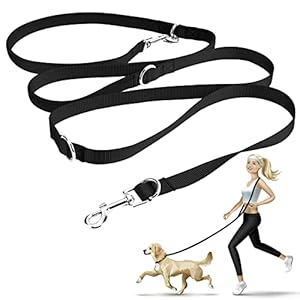 Oneisall Double Dog Lead Practice Lead 2.5 m for Medium Dogs up to 30 kg Very Stable Adjustable to 3 Positions