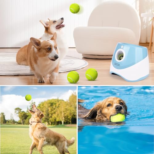 Rawhui Hunde Ballwurfmaschine Automatisch Interaktives Hundespielzeug Elektrisch mit 6pcs Tennisbälle für Kleine und Mittlere Hunde