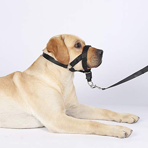 Dog Head Collar, No Pull Training Tool For Dogs On Walks, Includes Free Training Guide, 5 #TOP7