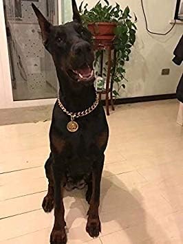 Miniatura 4 de Loveshine Collar de cadena para perro de oro de 18 quilates, cadena de eslabones cubanos de metal de acero inoxidable resistente para perros