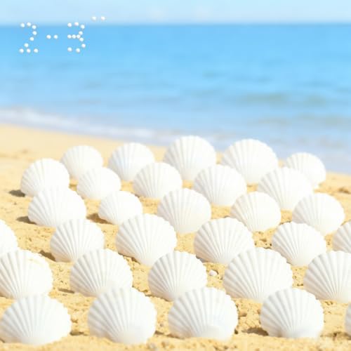 CROSSBODY 30pcs Natural White Scallop Seashells(2.3-3inch), Beach Shells for DIY Crafts, Wedding Decor, Home Decoration, Food Serving, Baking Presentation