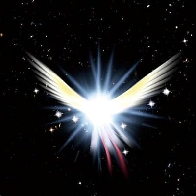 Space Bird Dubfire and
