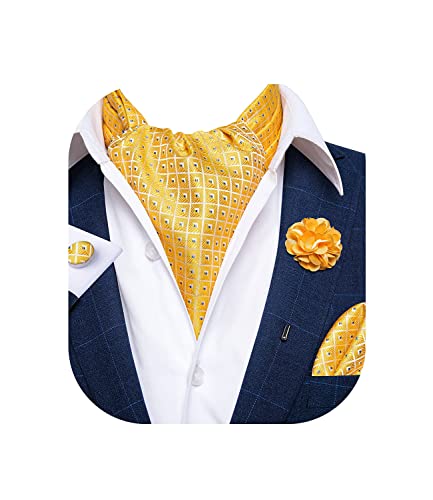 Image of DiBanGu Mens Silk Ascot Ties Paisley Jacquard Woven Cravat and Pocket Square Cufflinks with Lapel Pin for Business Wedding
