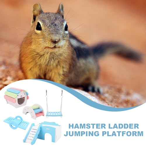 Brinquedos de porquinho-da-índia para hamster – Conjunto de atividades divertidas para hamster – Sup