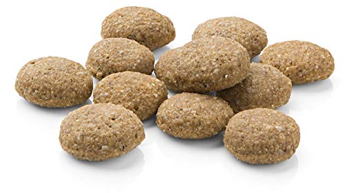 MERA Pure Sensitive Adult Lamm und Reis Hundefutter – Trockenfutter für die tägliche Ernährung nahrungssensibler Hunde & Pure Sensitive Adult Lachs und Reis Hundefutter – Trockenfutter