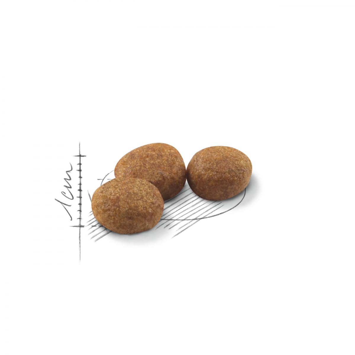 Royal Canin Alimento para Gatos Sterilised 37-2 kg