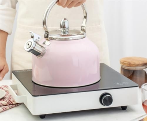 Bouilloire sifflette en acier inoxydable rouge de qualité supérieure