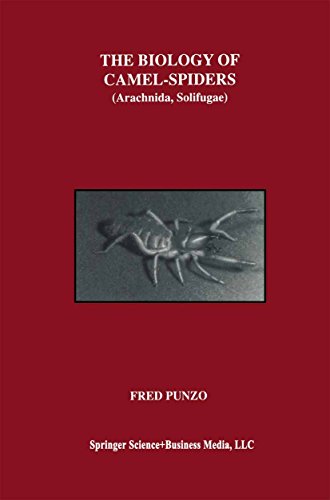 The Biology of Camel-Spiders: Arachnida, Solifugae (English Edition)