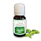Kampferöl Soul Mantra 10 ml für Haarpflege, Hautpflege und Aromatherapie
