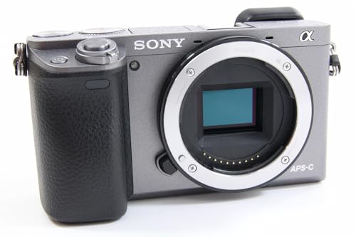 Sony ILCE-6000H Appareil Photo numérique hybride 3 Mpix Autofocus ultra-rapide rétractable Gris Graphite