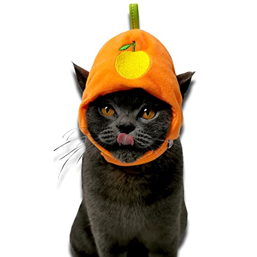 Sombrero disfraz frutas para perros y gatos miniatura 5