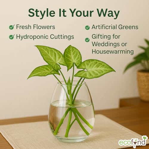 Image of ecofynd Glass Vase for Flowers Plants, Modern Decorative Vase for Home Decor Center Table, Bedroom, Living Room, Office Decoration, Wedding or Gifts (GVASE008)