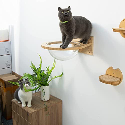Myoyay Wall-Mounted Cat Space Capsule Transparent Cat Bed Solid Wood Cat House Providing Space For Cats To Play Pet Wall Furniture For Indoor Small/Medium/Large Cats #TOP7