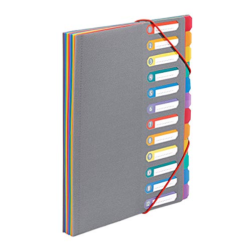 Viquel - Trieur Document A4 avec 12 Compartiments Rainbow Touch