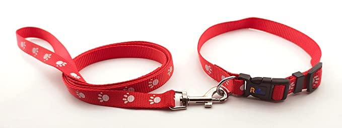 Pups&Pets Dog Belt and Leash Set Printed 15 MM- Adjustable Nylon Collar with Bell for Small and Medium Dogs, Quick Release and Breathable Collar and Leash Set for Puppies, Dog & Cat (Red, Pattern-2) (B0C37J2LV2) Amazon Price History, Amazon Price Tracker