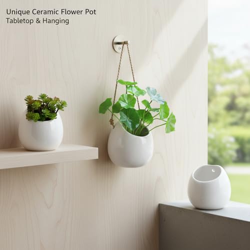 Pot de fleurs suspendu pour optimiser l'espace et protéger les plantes