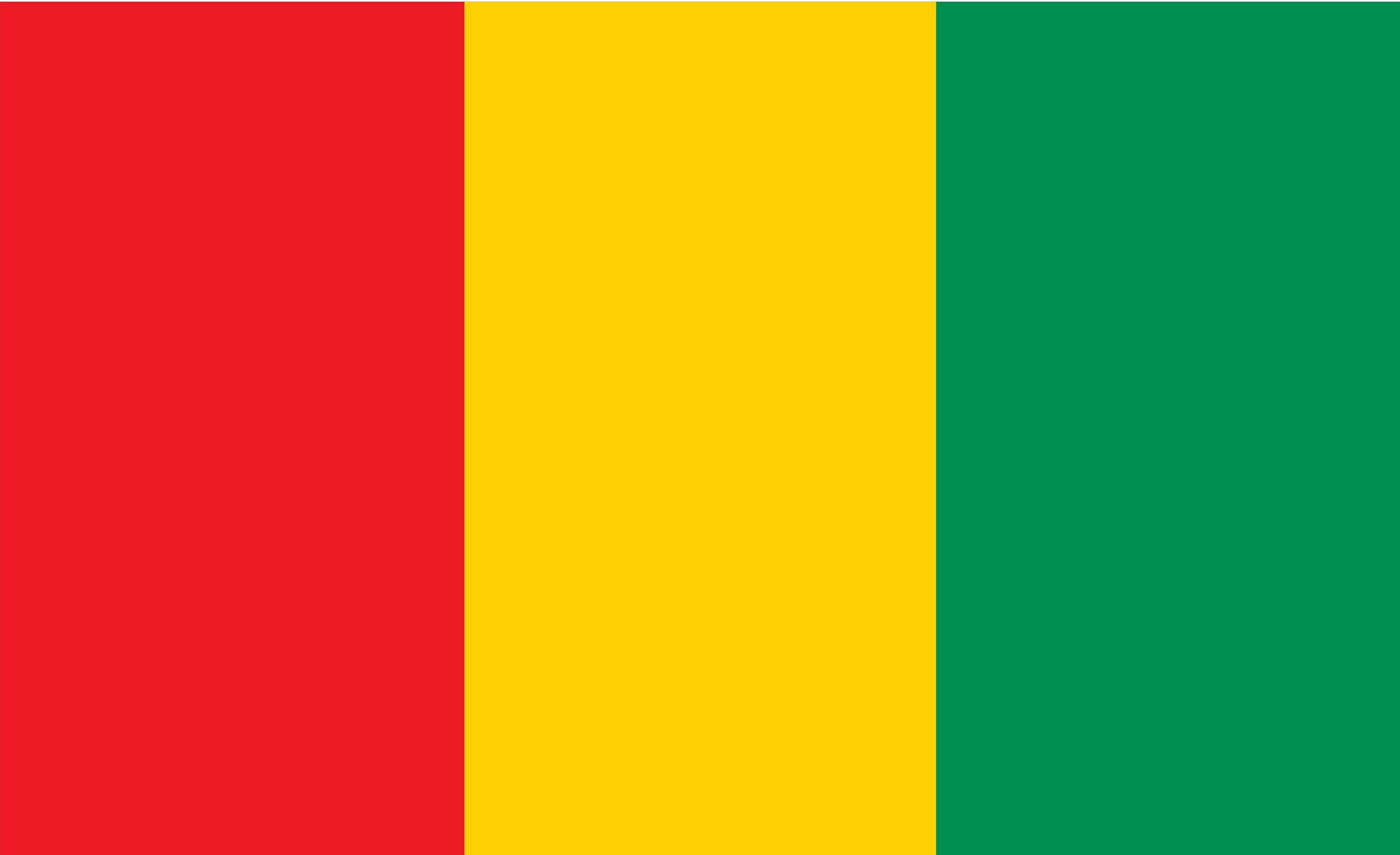 Drapeau de la Guinée de haute résistance format officiel 500 x 300 cm