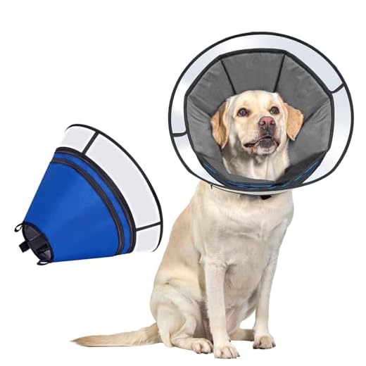 Adjustable Dog Cone Collar for Recovery