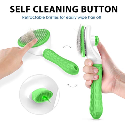 https://m.media-amazon.com/images/I/412V7aPthlL._SL500_.jpg