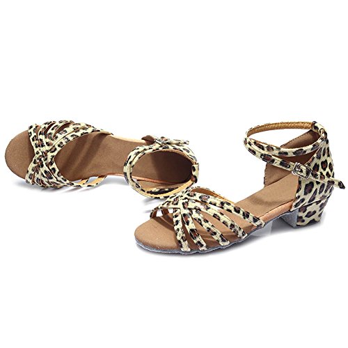 DKZSYIM Women&Girls Satin Latin Dance Shoes Low Heel Ballroom Salsa Tango Professional Performance Practice Dancing Shoes,Model 2033