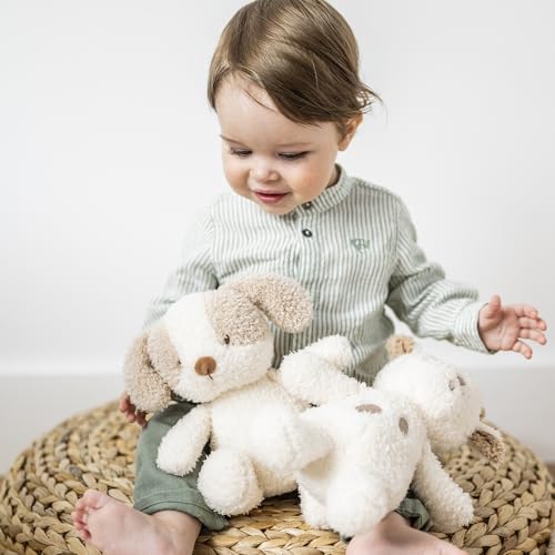Nattou Kuscheltier Baby-Hund, Wegbegleiter ab der Geburt, Ca. 24 cm, 100% Polyester, Teddy, Ecru