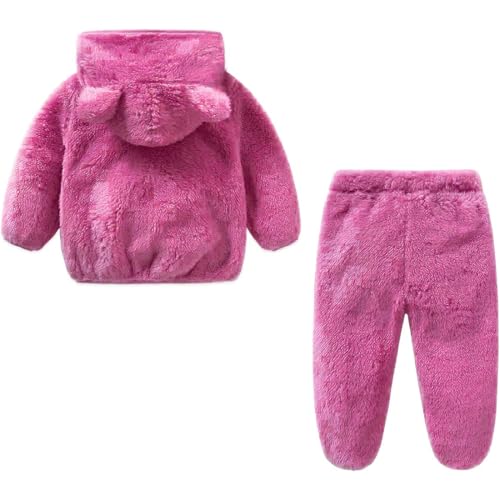 Image of Baby Teddy Bear Ear Soft Flannel Long Sleeve Hoodie & Leggings Unisex All Season Clothing Set For Baby Boys And Baby Girls