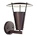 Forte 1150-01-32 One Light Outdoor Lantern, Antique Bronze