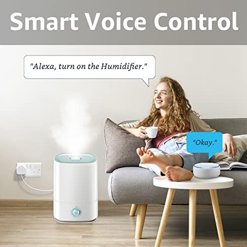 Smart Plug, Woox Alexa Plug, Voice Control WiFi Plugs Work with Alexa/Google, Wireless Remote Control Timer Outdoor Socket Plugs,Device Sharable, 13A,2990W -4 Pack