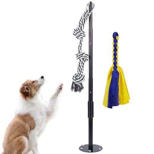 Dog Spring Toys