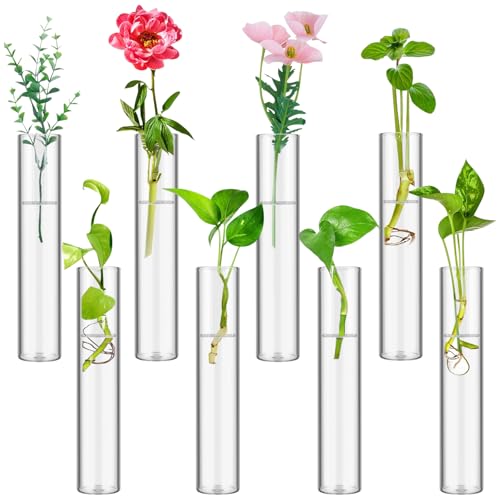 8 Tube Glass Plant Propagation Stations Clear