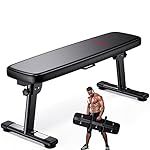 Weight Bench Folding Workout Bench with Carrying Handle Flat Home Training Multiuse Fitness Bench