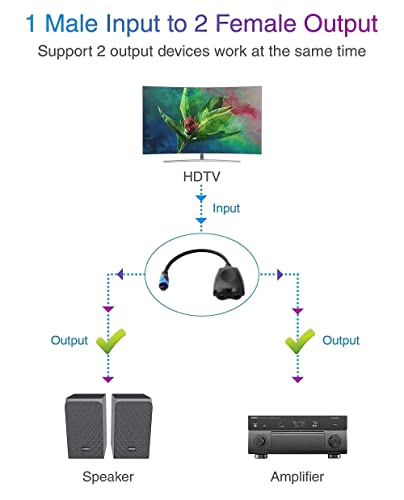 Bluerigger 1X2 Toslink Splitter With Premium Toslink Cable (6Ft) - 1 Male Input 2 Female Output - With 24K Gold Plated Connectors (For Home Theatre, Xbox, Playstation Etc.) #TOP6