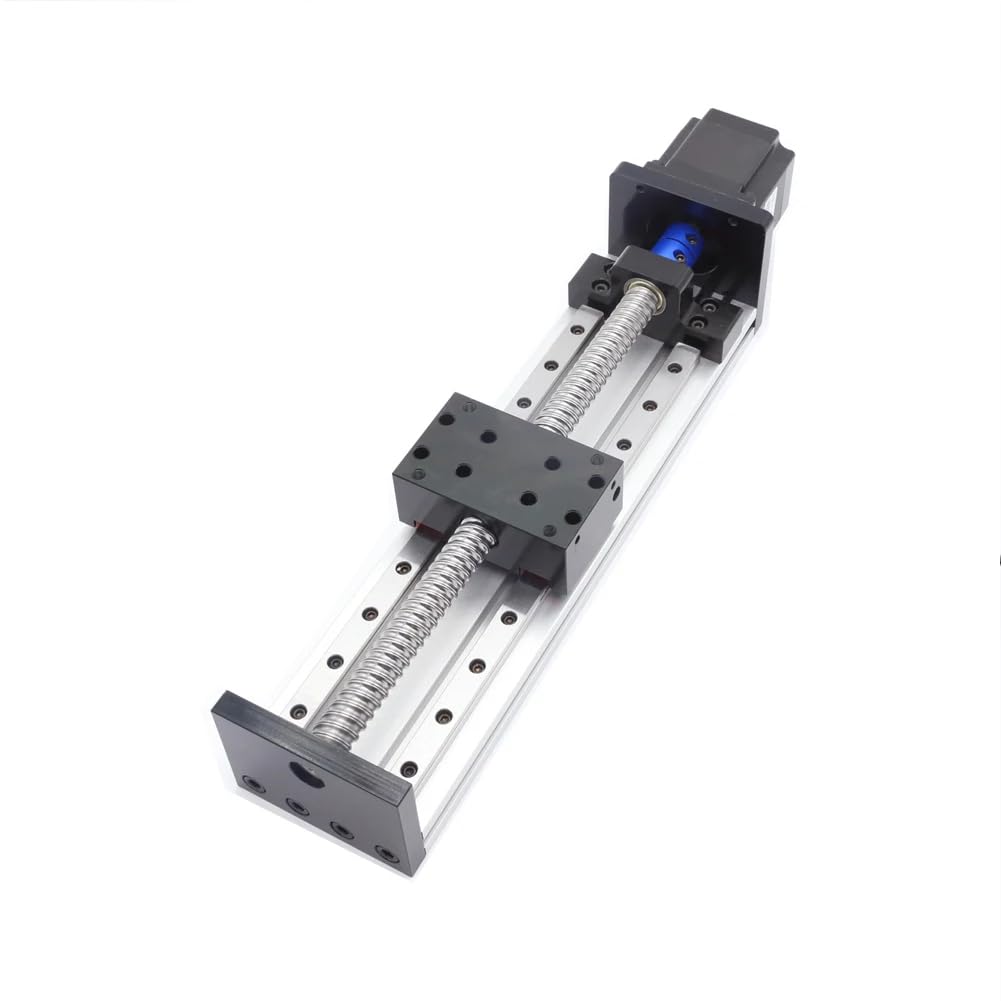 Modulo attuatore per albero guida lineare CNC a doppia rotaia SFU 1605 per carichi pesanti con corsa da 700 mm con Nema23