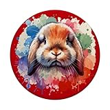 Zoom IMG-2 coniglio carino holland lop bunny